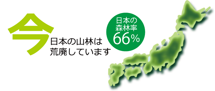 今、日本の山林は荒廃しています