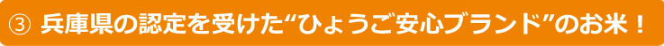 20150105こめ安心ブランド見出し